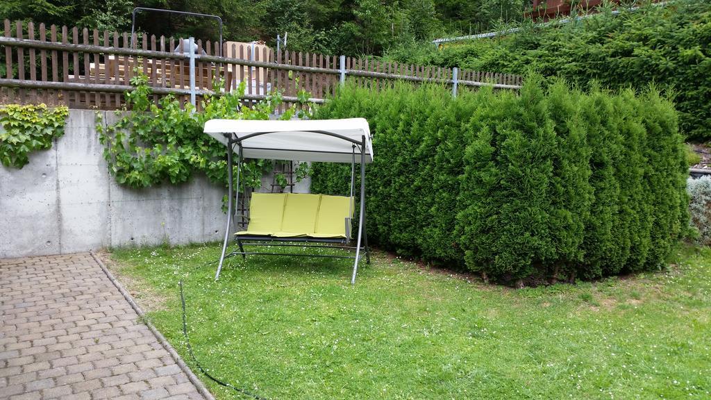 Ferienhaus Doenschten Dippoldiswalde Oda fotoğraf